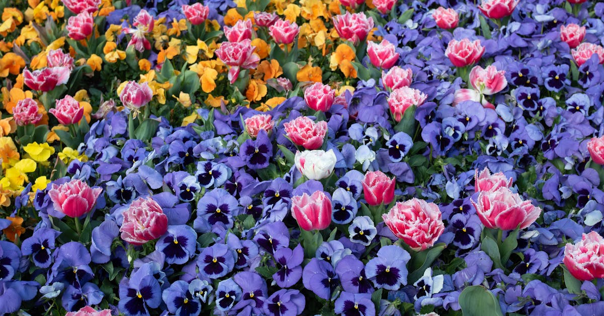 Enhancing Workplace Productivity with Smart Electrical Systems