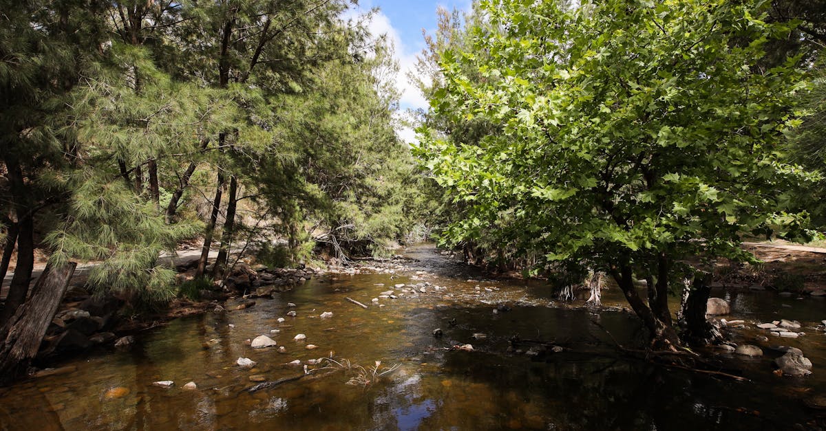 How to Choose the Right Emergency Lighting Solutions for Your Home