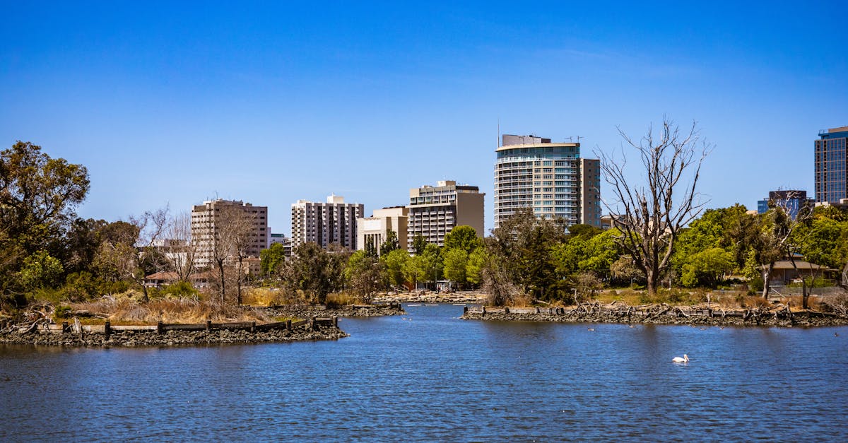 How to Prepare Your Business for an Energy Efficiency Audit