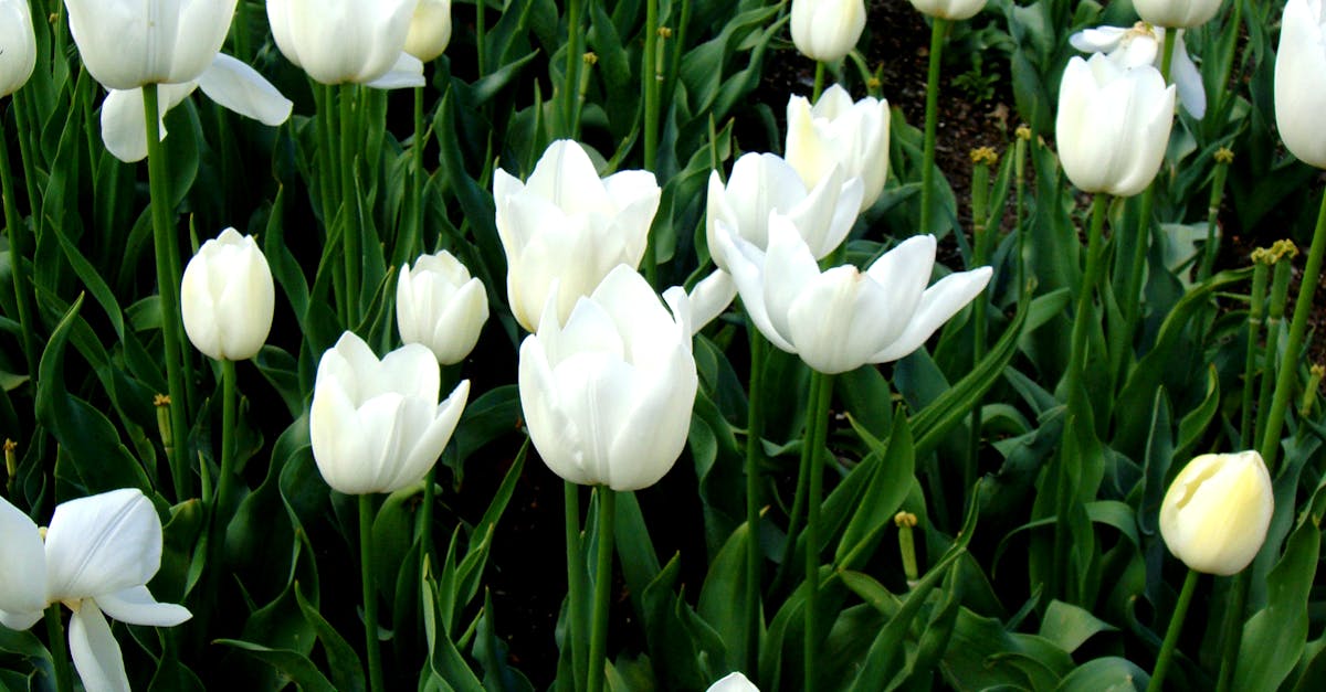 Signs Your Electrical System Needs Immediate Attention