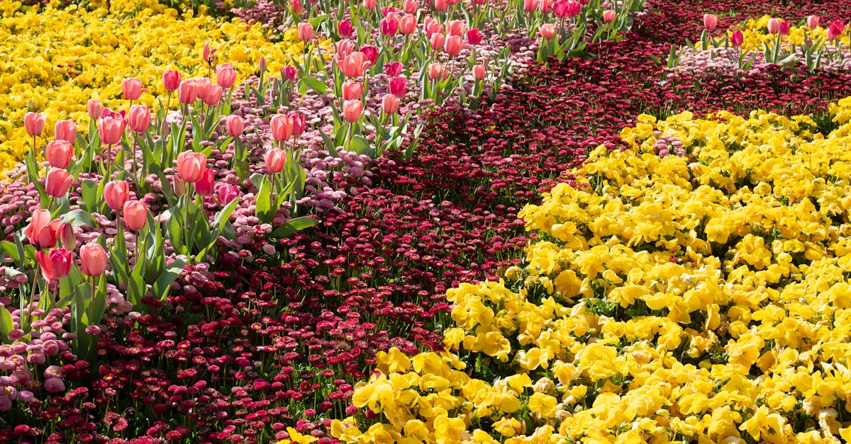 Troubleshooting Common Issues with Emergency Lighting Systems